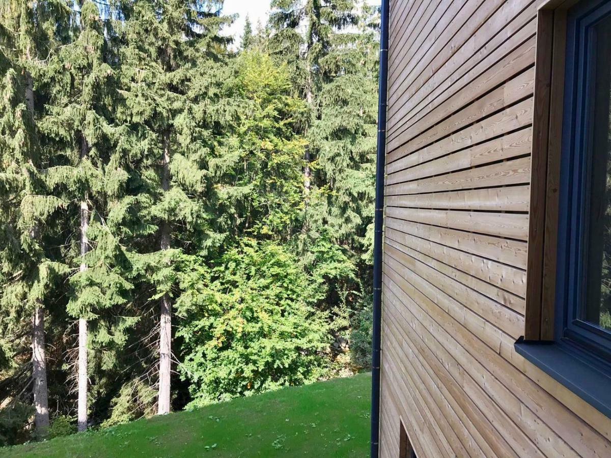 Utulny Apartman U Mumlavskych Vodopadu Гаррахов Экстерьер фото